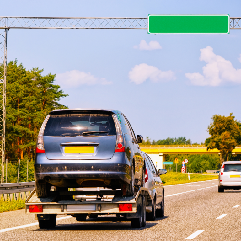 recovery Delivery (8)